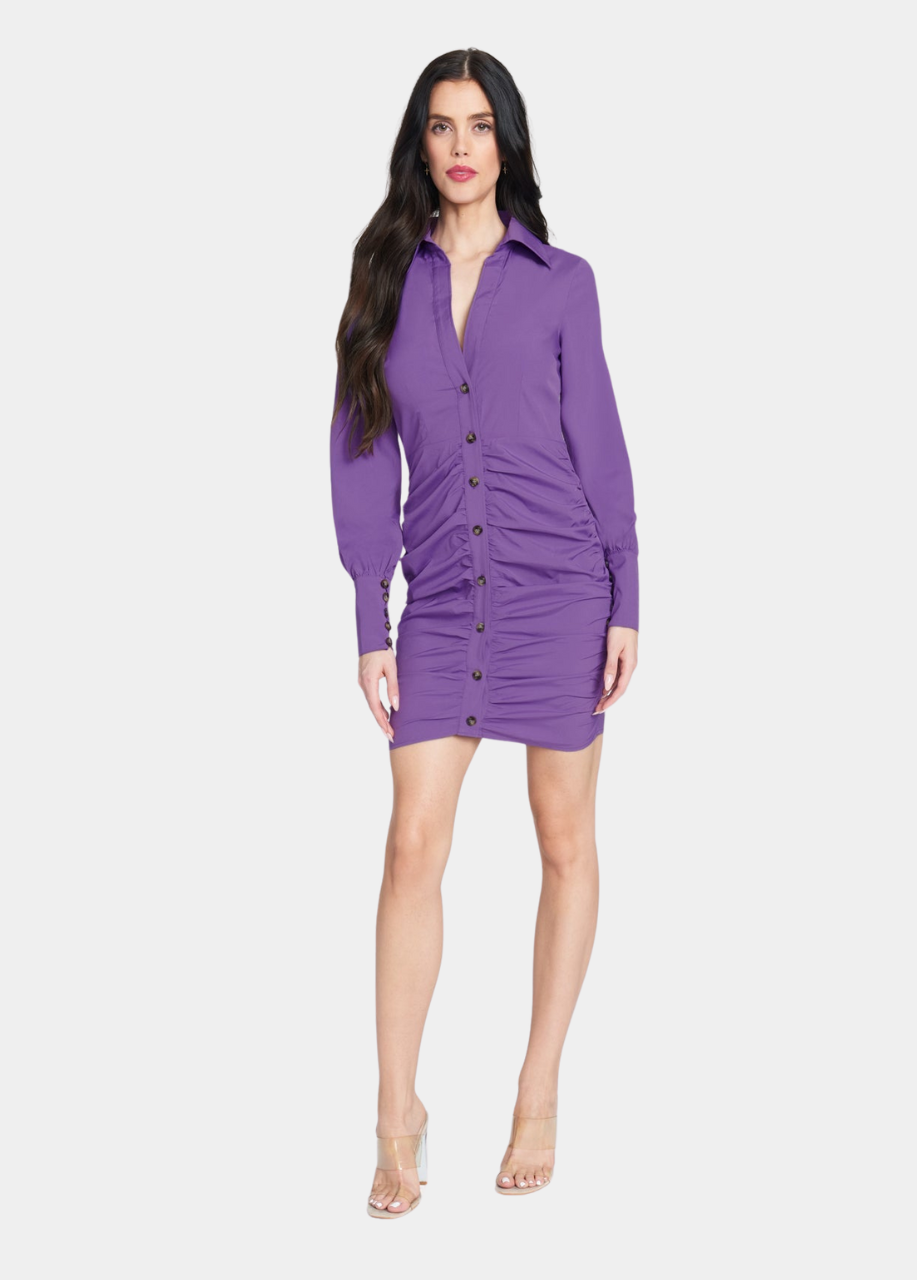 Charming Charlie Tall Namilla Collared Mini Dress in Purple, Size Large