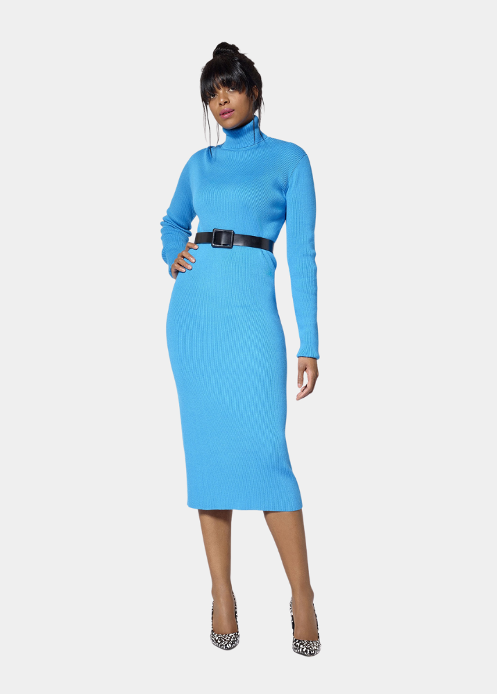 Turtleneck Tall Sweater Dress (FINAL SALE)