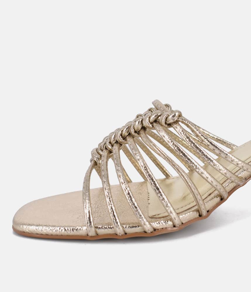 305668180.jpg