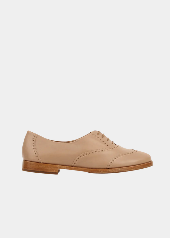 The Soft Oxford 2.0 - Biscotti