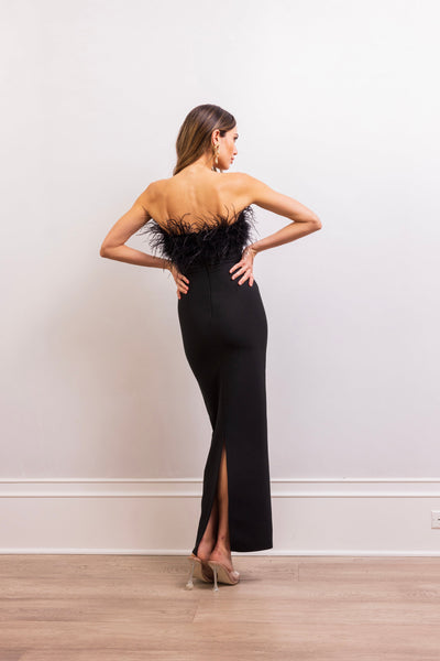 The Art of Silence Feather Maxi Dress in Black