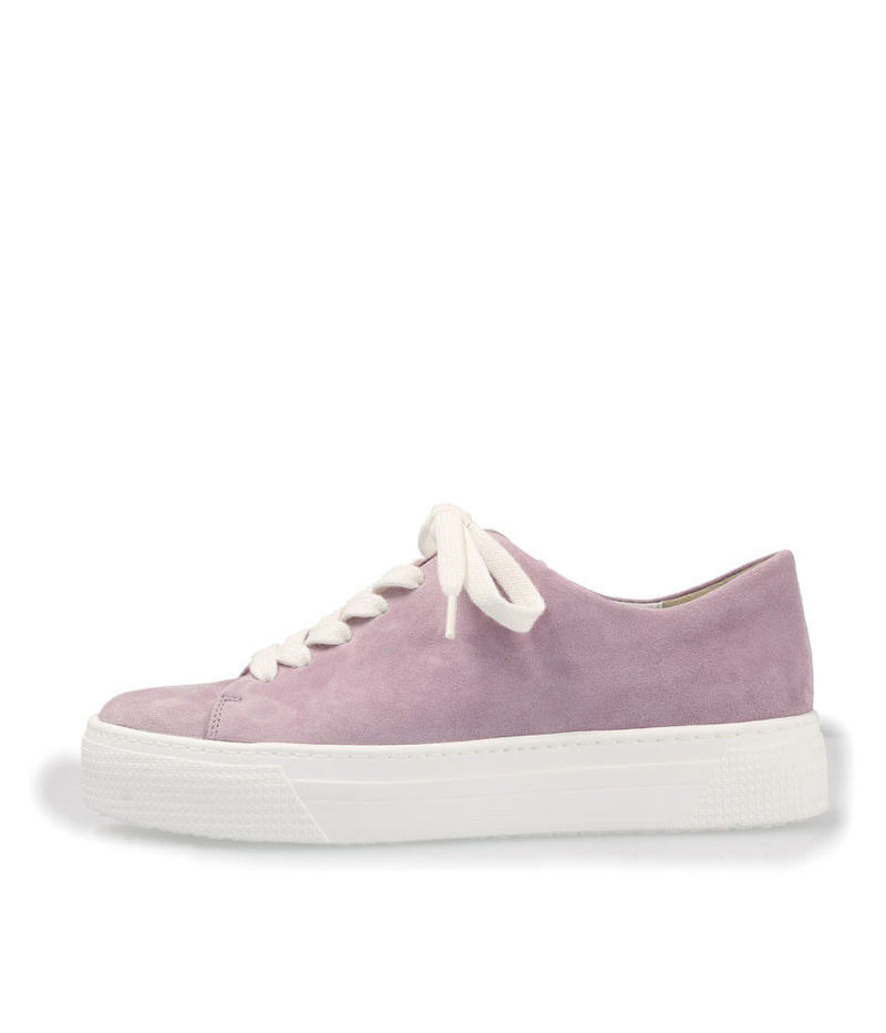 Semler Stylish Lavender Suede Sneaker